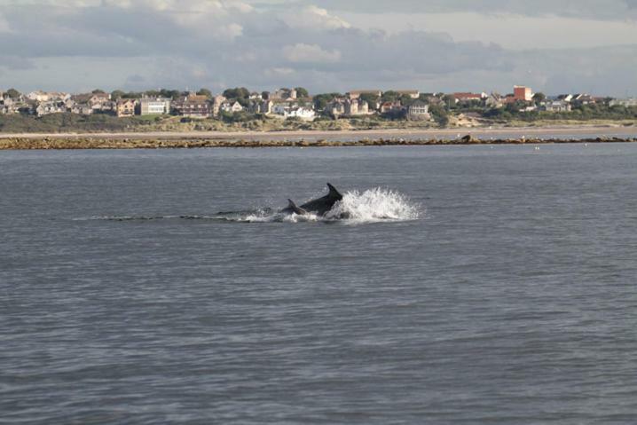 Firthview Cottage Lossiemouth Buitenkant foto